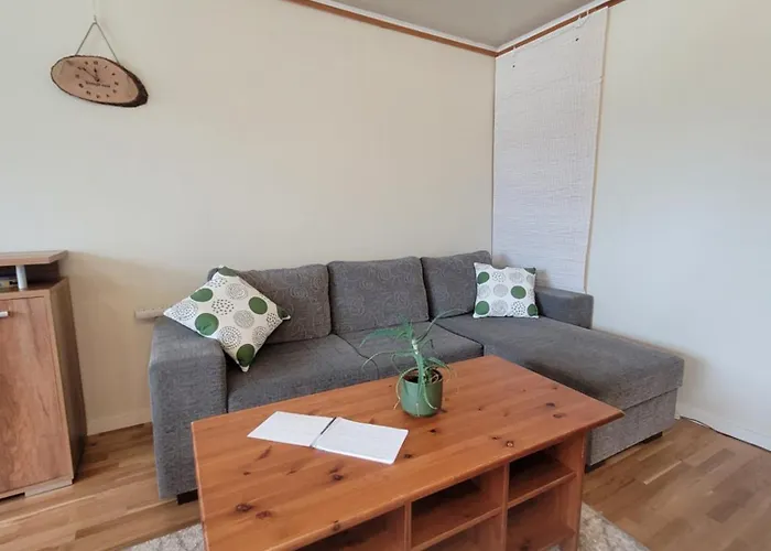 Apartment 3-room Homey In